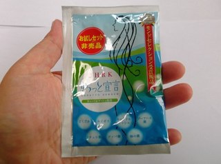 すらっと宣言blog.jpg